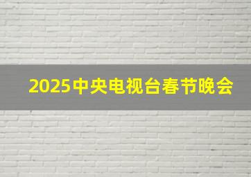 2025中央电视台春节晚会