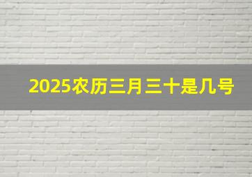 2025农历三月三十是几号