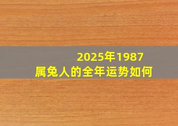 2025年1987属兔人的全年运势如何