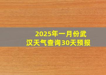 2025年一月份武汉天气查询30天预报