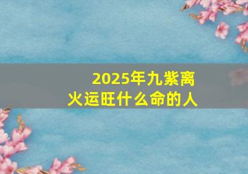 2025年九紫离火运旺什么命的人