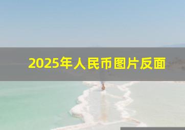 2025年人民币图片反面