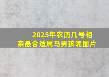 2025年农历几号相亲最合适属马男孩呢图片