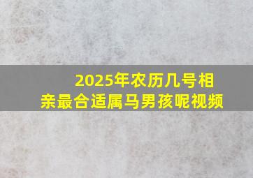 2025年农历几号相亲最合适属马男孩呢视频