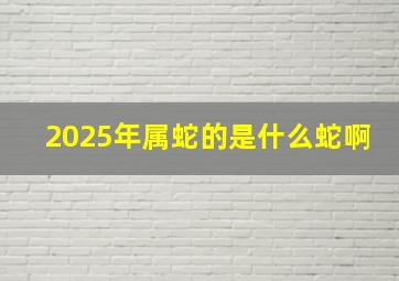 2025年属蛇的是什么蛇啊