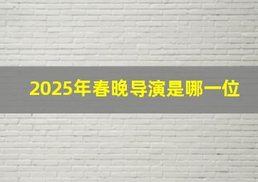 2025年春晚导演是哪一位