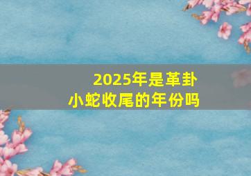 2025年是革卦小蛇收尾的年份吗