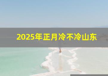 2025年正月冷不冷山东