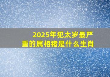 2025年犯太岁最严重的属相猪是什么生肖