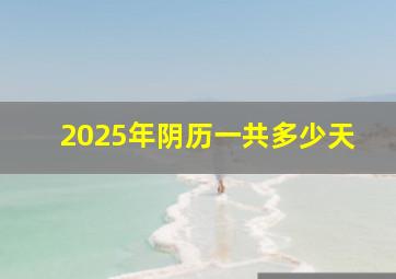 2025年阴历一共多少天