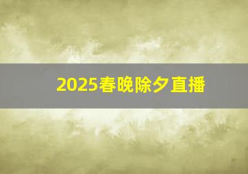 2025春晚除夕直播