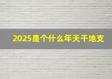 2025是个什么年天干地支