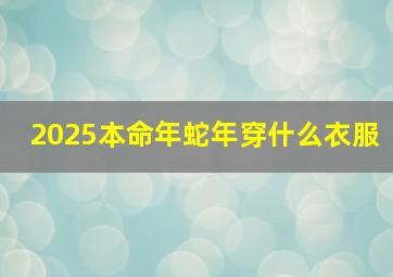 2025本命年蛇年穿什么衣服