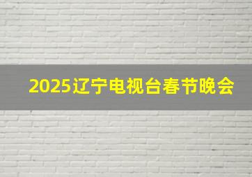 2025辽宁电视台春节晚会