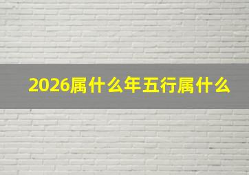 2026属什么年五行属什么