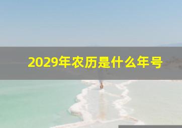 2029年农历是什么年号