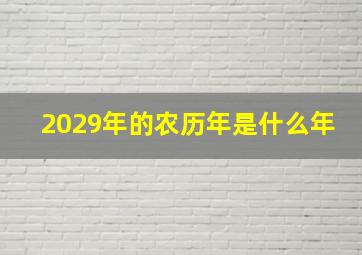 2029年的农历年是什么年