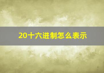 20十六进制怎么表示