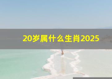 20岁属什么生肖2025