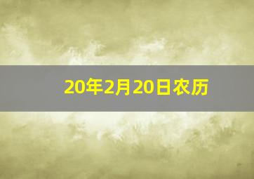 20年2月20日农历