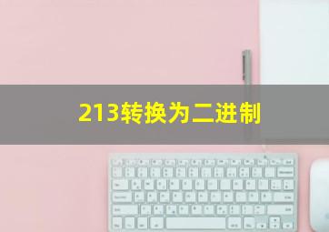 213转换为二进制