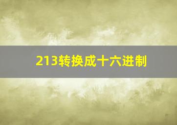 213转换成十六进制