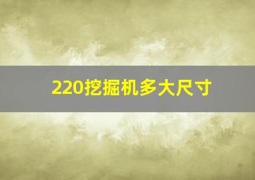 220挖掘机多大尺寸