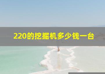 220的挖掘机多少钱一台