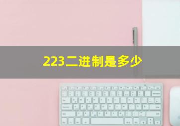 223二进制是多少