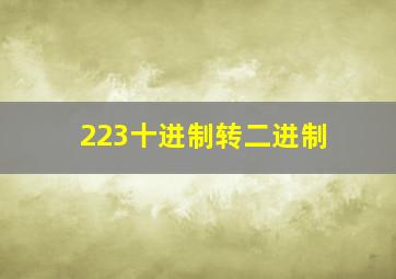 223十进制转二进制