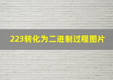 223转化为二进制过程图片