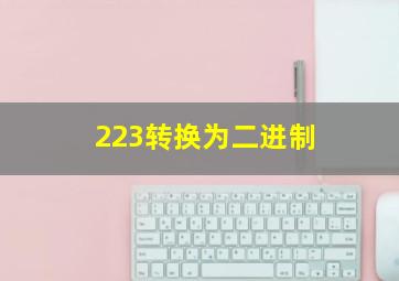 223转换为二进制