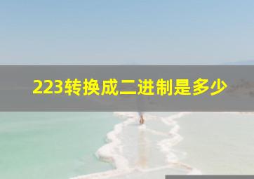 223转换成二进制是多少