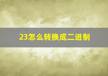 23怎么转换成二进制