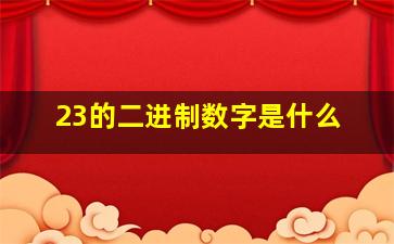 23的二进制数字是什么