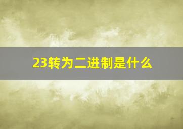 23转为二进制是什么