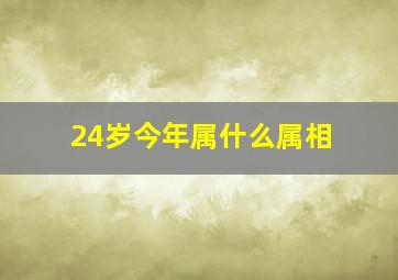 24岁今年属什么属相