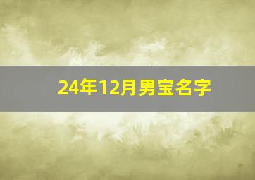 24年12月男宝名字