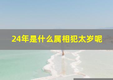 24年是什么属相犯太岁呢