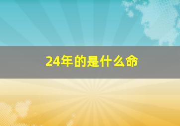 24年的是什么命