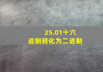 25.01十六进制转化为二进制