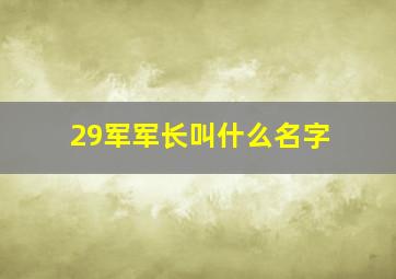 29军军长叫什么名字