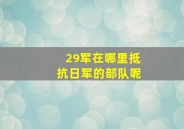 29军在哪里抵抗日军的部队呢