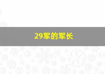 29军的军长