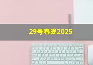 29号春晚2025