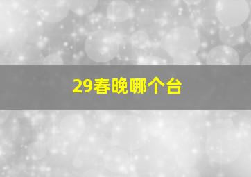 29春晚哪个台