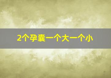 2个孕囊一个大一个小