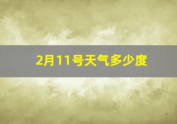 2月11号天气多少度