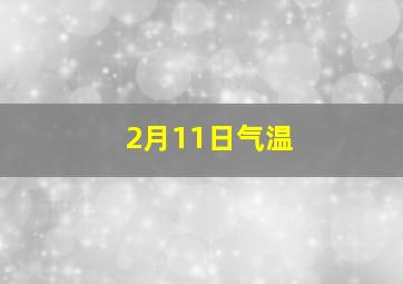 2月11日气温