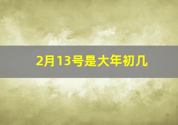 2月13号是大年初几